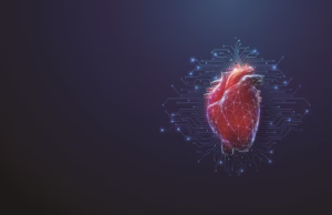 Image of a futuristic human heart overlaid by computer-like connection lines, related to organ-on-a-chip innovations